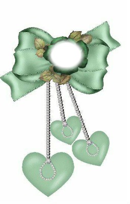green bow & rose Photo frame effect