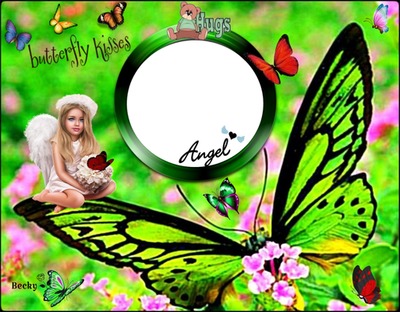 butterfly kisses Montage photo