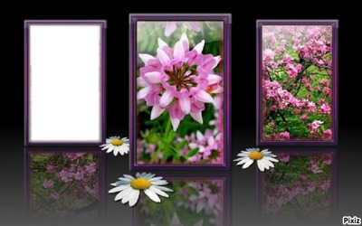 cadre fleurs Montaje fotografico
