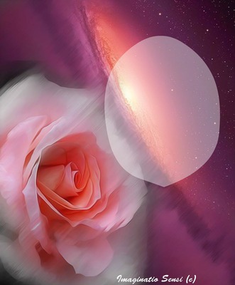 Rose Fotomontage