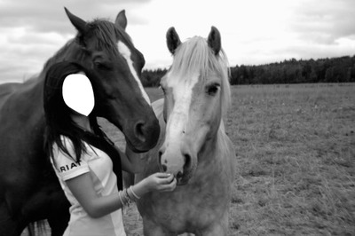 Au pré avec les chevaux ♥ Fotomontažas