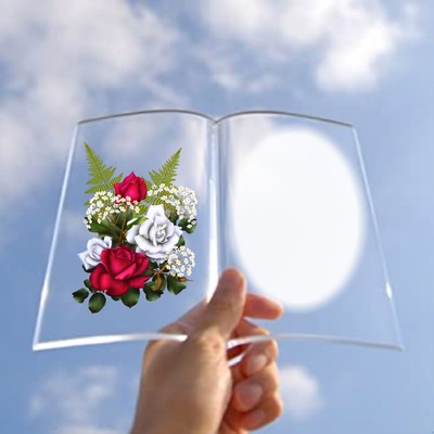 book Photo frame effect