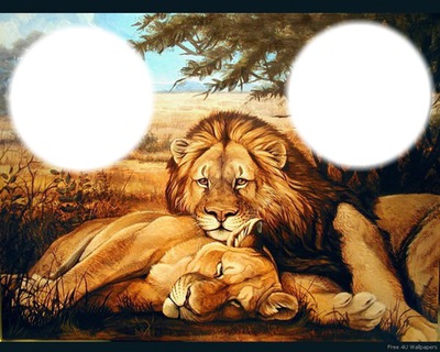 LION Fotomontāža