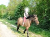 le cheval mon amie Fotomontáž