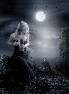 #gothic; #new #moon; crow; Montage photo