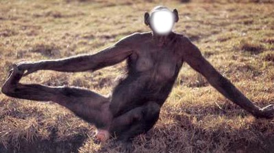 bonobo Montaje fotografico