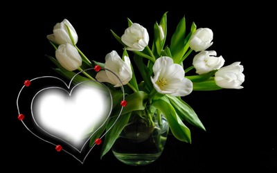 Bouquet de Tulipes Fotomontasje