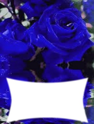 rose bleue Fotomontažas