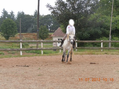 cheval and fille Fotoğraf editörü