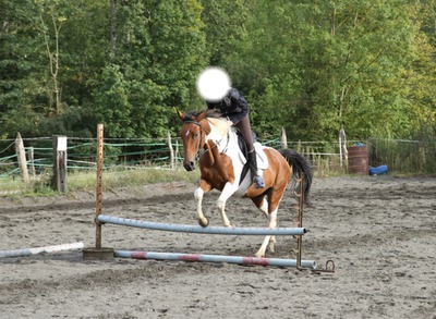 saut a cheval Photo frame effect