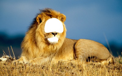 Lion Fotómontázs