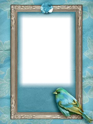 cadre bleu oiseau Photomontage