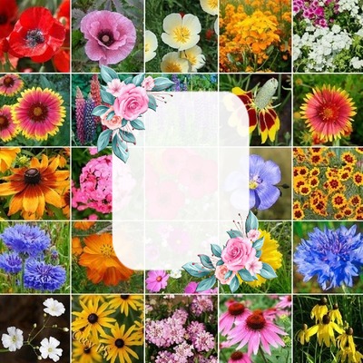 Cc Jardín de flores Montaje fotografico