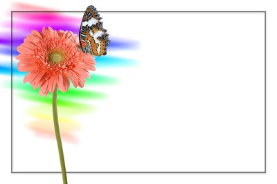 Papillon-fleur フォトモンタージュ