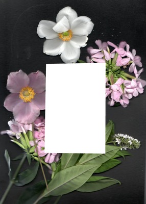 fleurs avec cadre rectangulaire une photo Fotomontasje