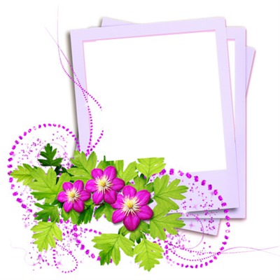 cadre fleurs Fotomontaggio