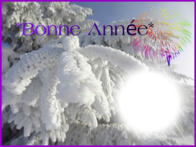 BONNE ANNEE Montage photo