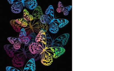 papillons fluorécents 1 photo Photomontage
