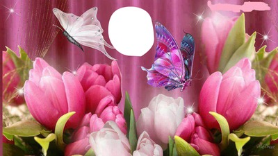 mariposas y flores フォトモンタージュ