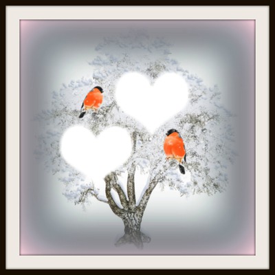 arbre amour oiseaux Fotomontagem