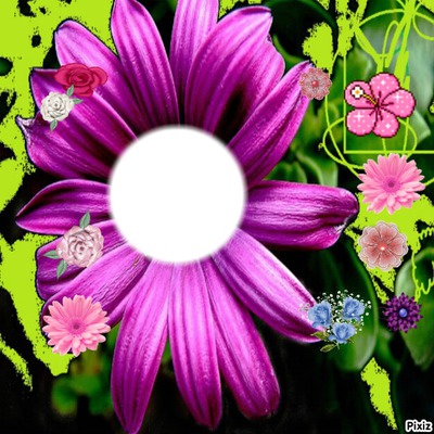 tracy fleur Fotomontage