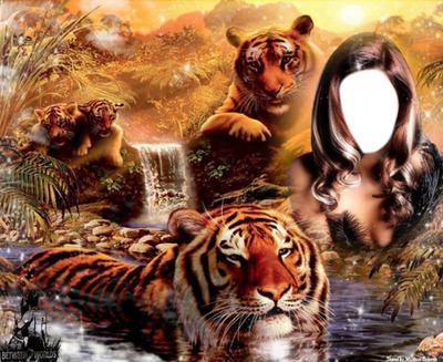 Tiger Ladie Fotomontage