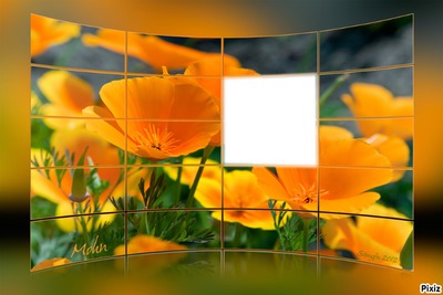 Zum-Mittwoch- Photo frame effect