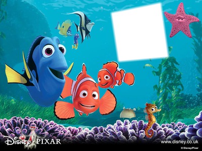 Nemo moldura para bebe Photo frame effect
