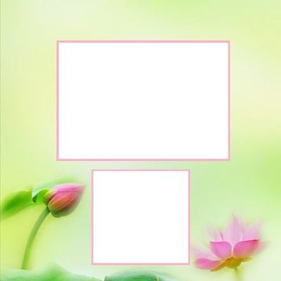 collage 2 fotos, fondo flores rosadas. Fotomontasje