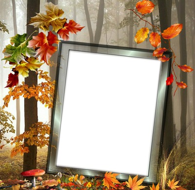 Cadre d'automne* Photomontage
