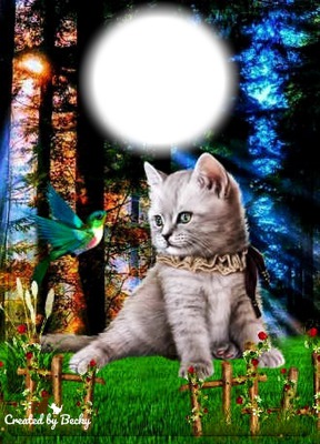 pretty kitty Fotomontage