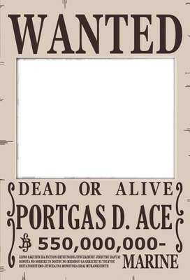 portgas d ace wanted one piece Montage photo