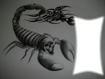 scorpion Montaje fotografico