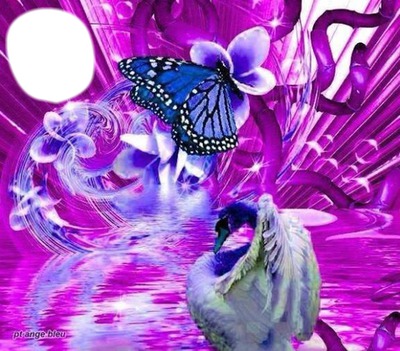 Papillon et Cygne Fotomontáž