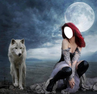 White wolf Fotomontage