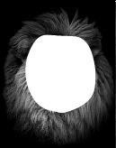 lion Photo frame effect