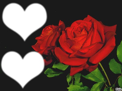 Coeur avec rose <3 Montaje fotografico