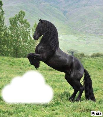 le cheval ses trop genial Fotomontage