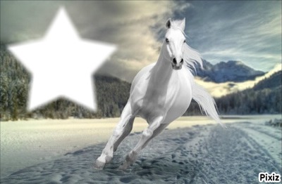 cheval blanc de neige Photomontage