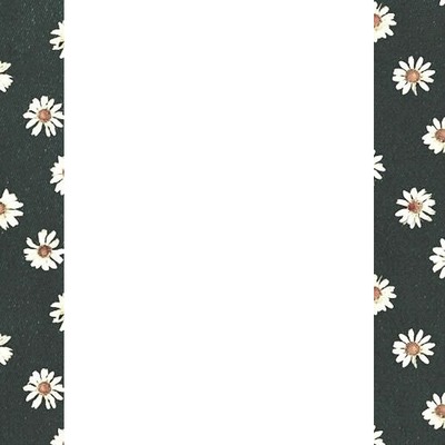 flores blancas -- collage Fotomontažas