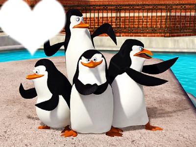 les pinguins de madagascar Montaje fotografico
