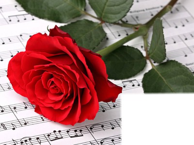 rose and music Fotomontasje