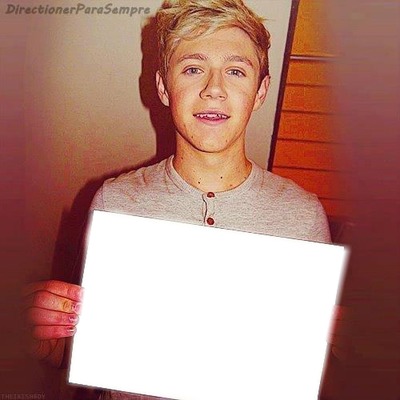 One Direction  Niall Montage photo