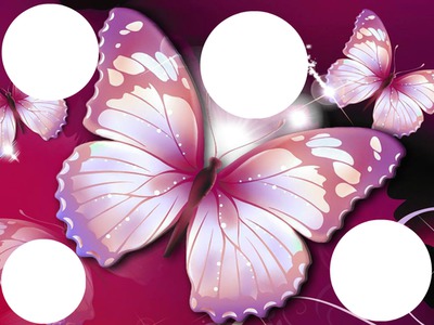 papillon Photomontage