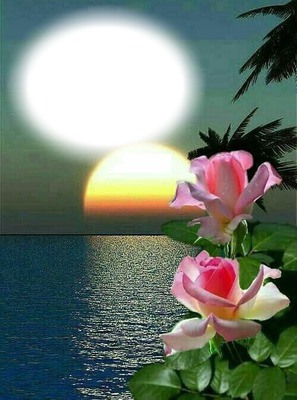 Coucher de soleil-roses-nature Photomontage