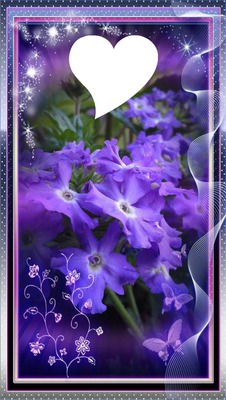 Blumen Fotomontasje