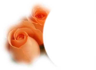 cadre fleur rose Fotomontaža