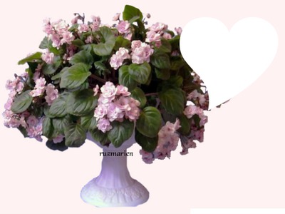 lindas flores para ti Fotomontāža