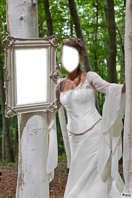 Hochzeit Fotomontage