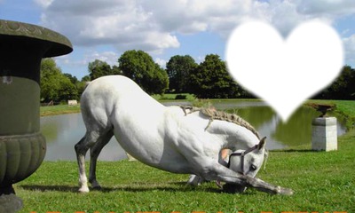 caballo corazon Photo frame effect